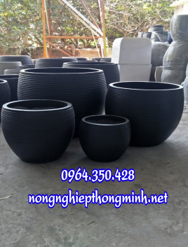 chỉ ngang bộ 4